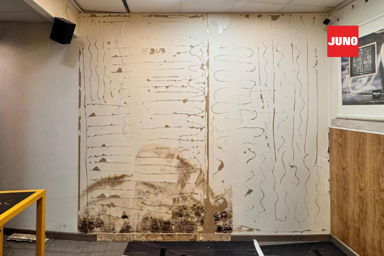 Pared antes