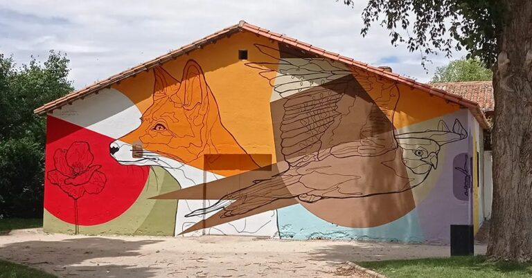 287356417_7647829791954701_2952955795778436911_n