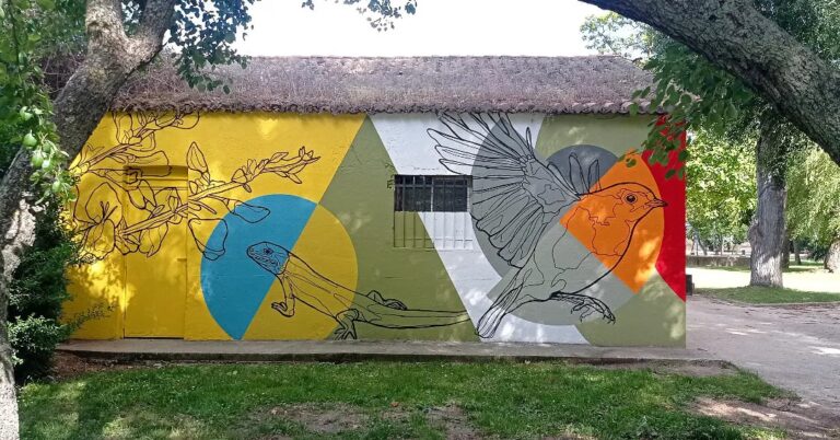 287589980_7647832148621132_6420716543531664281_n