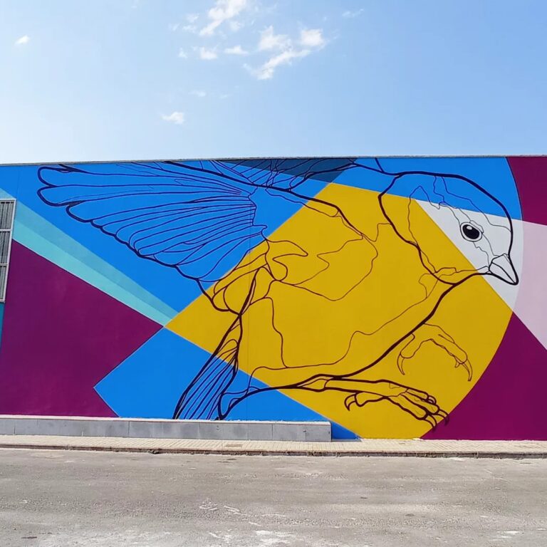 297882520_7903824546355223_5597697439704404582_n