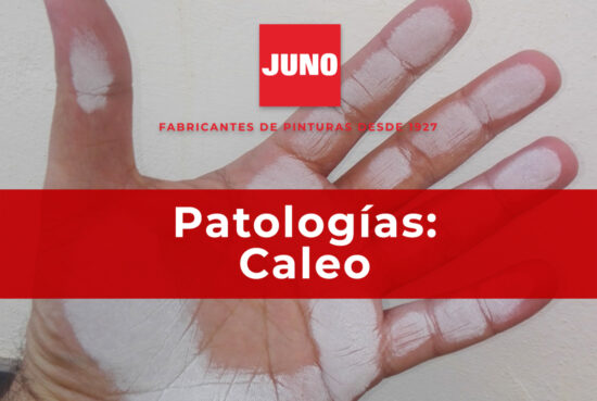 Caleo-Pinturas-JUNO