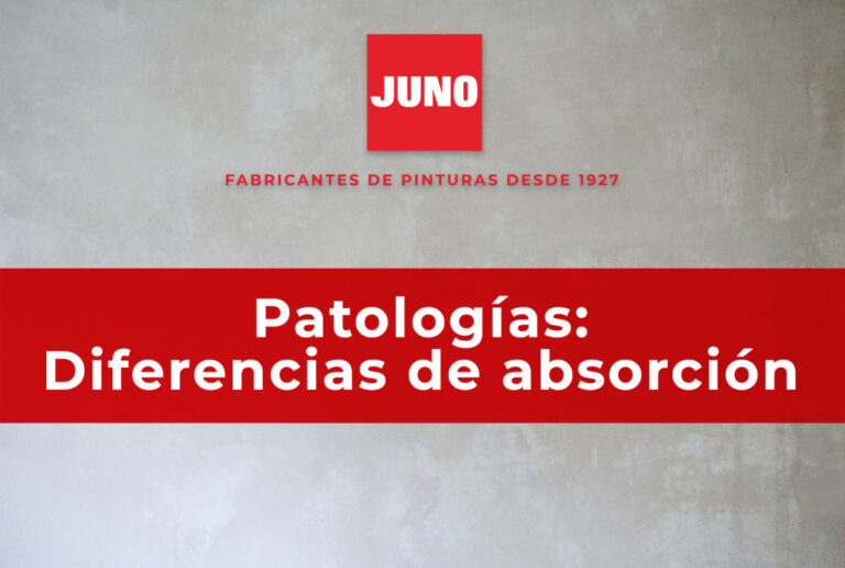 Diferencias-de-absorcion