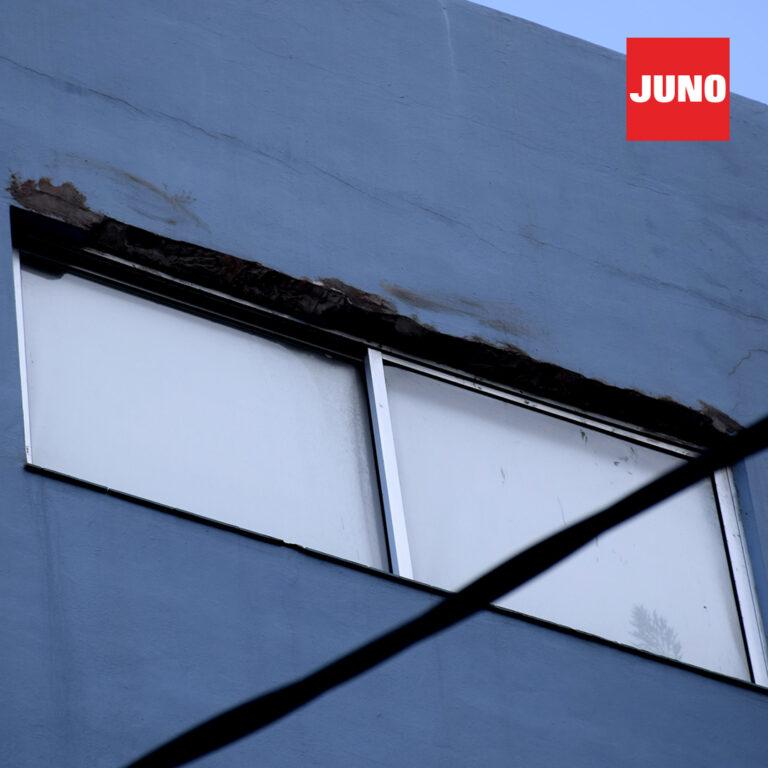 JN-1080×1080-galeria-1