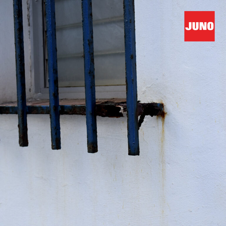 JN-1080×1080-galeria-14