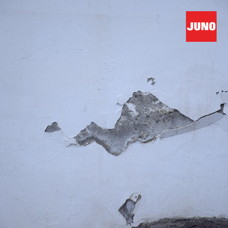 JN-1080×1080-galeria-3