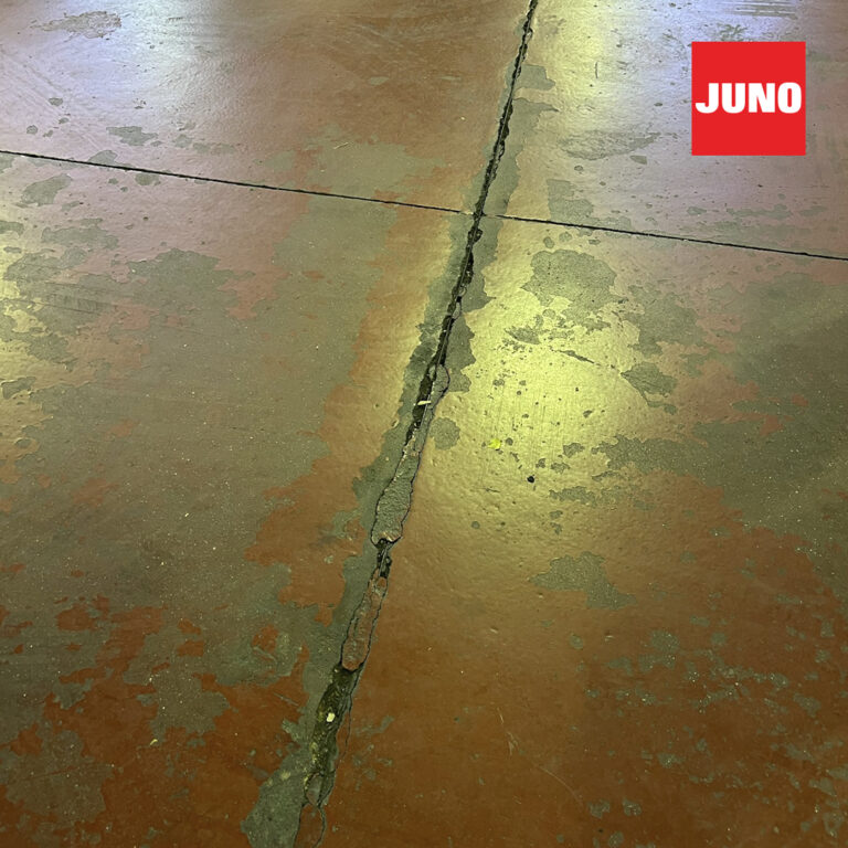 JN-1080×1080-galeria-9