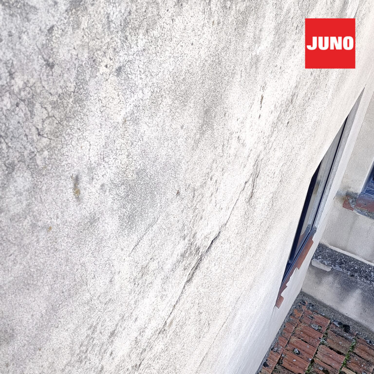 JN-1080×1080-galeria-9