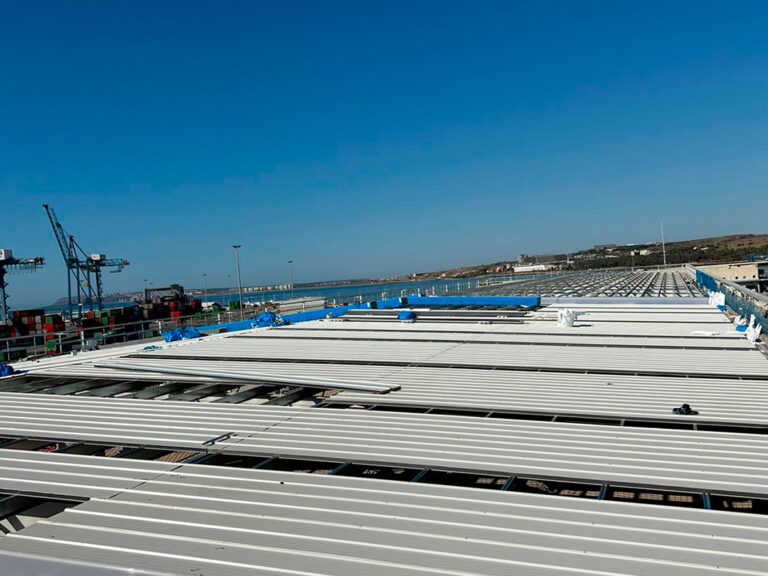 JN-casoexito-dache-3