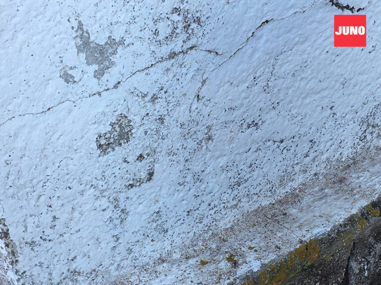 JN-casoexito-galeria-pla69-9