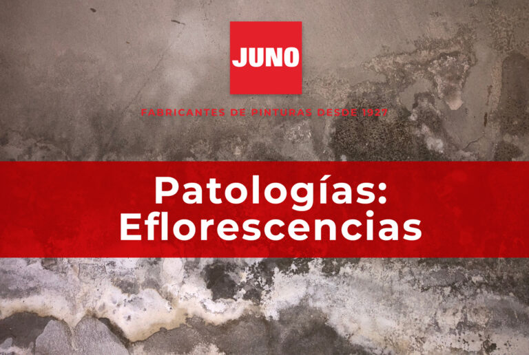 JN_patologias_eflorescencias