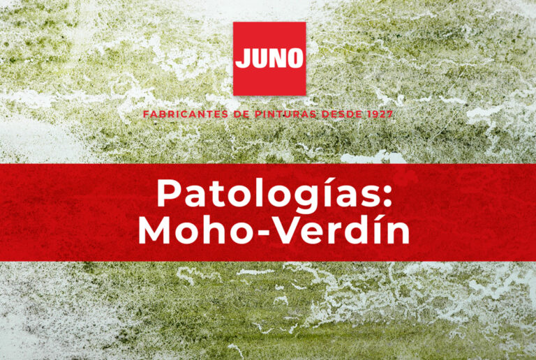 JN_patologias_moho