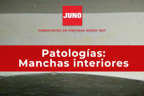 Manchas-interiores-JUNO