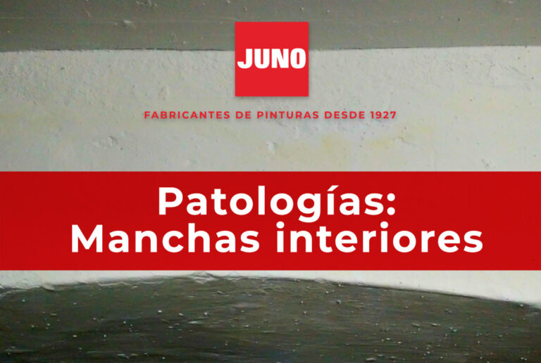Manchas-interiores-JUNO