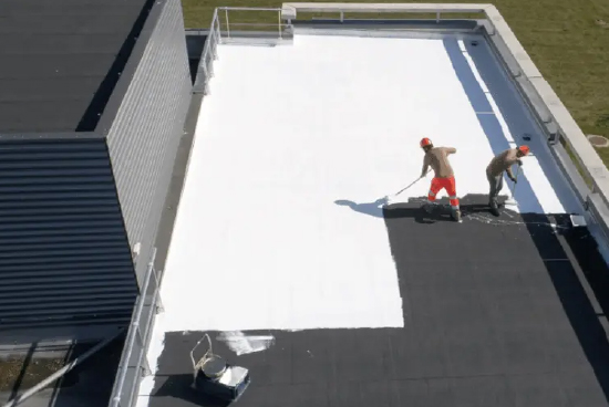 Mesa de trabajo 1 copia