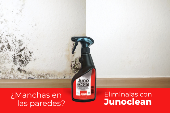 Errores comunes al pintar interiores con humedad