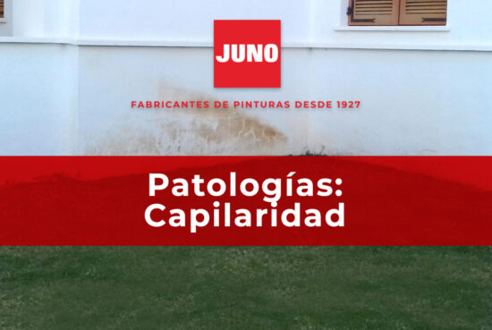 Patologias-capilaridad-Pinturas-JUNO